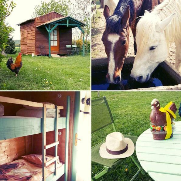 Ferme Equestre Les Chevaliers Hotell Penol Eksteriør bilde