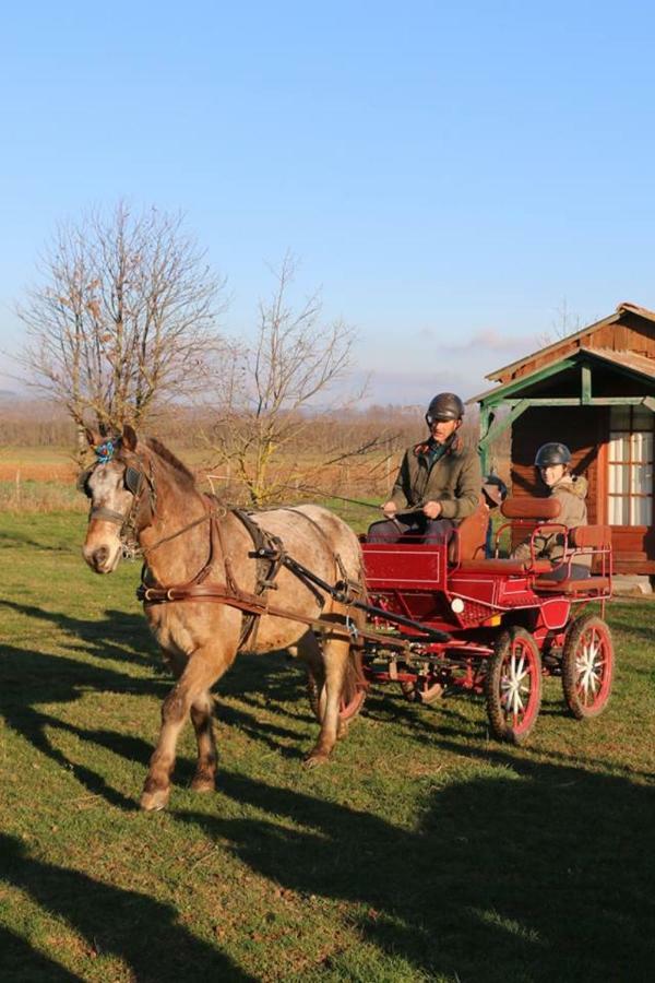 Ferme Equestre Les Chevaliers Hotell Penol Eksteriør bilde